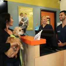 Banfield pet hospital is a privately owned company based in vancouver, washington, united states, that operates veterinary clinics. Banfield Pet Hospital Logo Pet S Gallery
