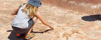 Great quick stop just off the highway west of tuba city, az. Dinosaur Track Site Tuba City Arizona Womo Abenteuer