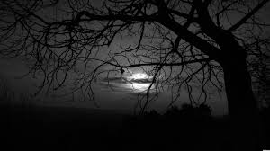 Maybe you would like to learn more about one of these? Dark Moon Wallpapers Wallpaper Cave