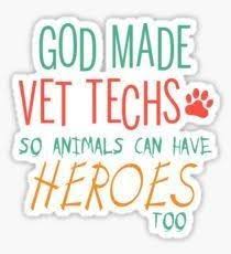 Choose from 500 different sets of flashcards about vet tech on quizlet. Pin By Amber Monson On Vet Tech Life Vet Tech Quotes Vet Tech Humor Vet Tech