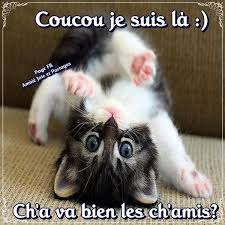 Image associée