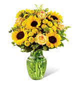 We did not find results for: Flowers To Methodist Hospital The Houston Texas Tx Same Day Delivery By A Local Florist In Houston