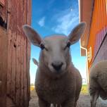 Fall Open House — Welcome to Esther's Place