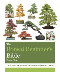 Best reviews guide analyzes and compares all bonsai books of 2021. The Bonsai Bible Ebook By Peter Chan 9781784720063 Rakuten Kobo United States