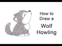 The places where you want to add these lines will be the inner sides of the ears, the upper part of the snout, the mouth, and the bottom of the head. How To Draw A Wolf Howling Cartoon Youtube