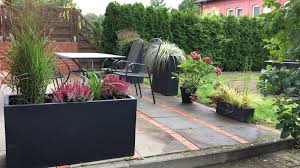 Design 27 Zum Kubelpflanzen Terrasse Volle Sonne Bepflanzung Pflanzen Pflanzkubel