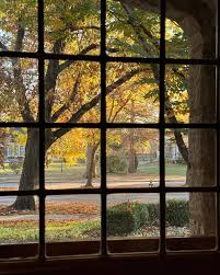 Instagram video by chris carleton • Dec 26, 2024 at 3:44 PM