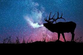Image result for arte visual