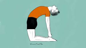 In fact, there are hundreds of poses. How To Do Ustrasana Benefits Yoga Pose Tutorial Adventure Yoga Online