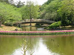 Bridges Of Japan Culture Japan Travel