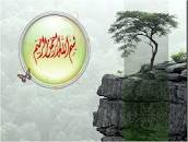 نتیجه تصویری برای ‫دانلود فایل ارائه پاورپوینت دستگاه ادراری تناسلی Urog‬‎