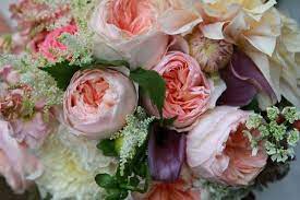 Maybe you would like to learn more about one of these? Enchanted Florist Asheville Flowers Asheville Nc Weddingwire
