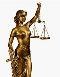 Image result for Justicia incana