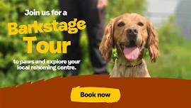 Barkstage Tour