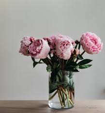 Maybe you would like to learn more about one of these? Cut Flowers Blog Between The Briars