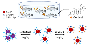 Image result for Modified Apt Test