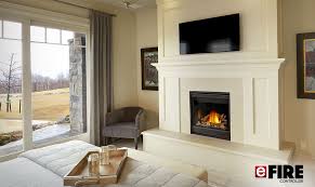 Check spelling or type a new query. Napoleon X36 Gas Fireplace