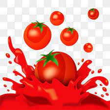 flying tomatoes design tomatoes tomato ketchup ketchup splash png and vector with transparent background for free download in 2021 vintage fonts alphabet tomato ketchup tomato paste