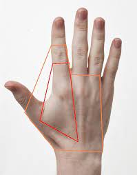 Schmerzen In Mittelhandknochen Oder Sehne Oder Muskel Was Kann Das Sein Hand
