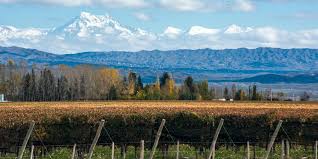 We ask more of business and of ourselves at mendoza college of business. An Outsider S Guide To Mendoza Argentina