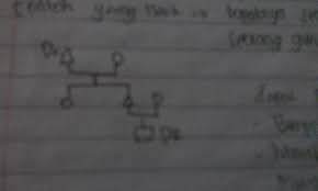 Mobilitas sosial merupakan suatu bentuk dinamika dalam struktur sosial. Buatlah Sebuah Bagan Yang Menggambarkan Mobilitas Sosial Vertikal Naik Antar Generasi Brainly Co Id