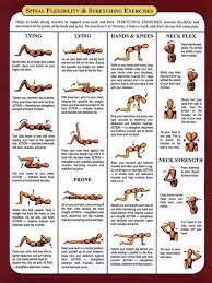 They are located deep to the extrinsic muscles, being separated from them by the thoracolumbar fascia. Pin On Physical Exertion