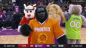 Hunter nba memphis grizzlies cat collar, small. Grizz Grizzlies Mascot Great Impression Of The Amazing Sladek Performance November 19 2019 Youtube