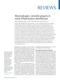 Refferal letter indicationg thye account number Pdf Macrophages Versatile Players In Renal Inflammation And Fibrosis