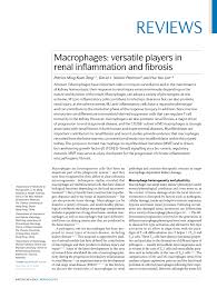 Coid bryant xx pic : Pdf Macrophages Versatile Players In Renal Inflammation And Fibrosis