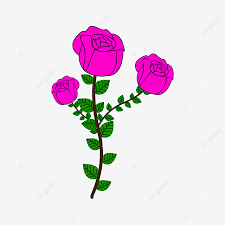 Bagaimanakah cara merawat tanaman bunga mawar agar bisa menghasilkan bunga yang lebat? Png Red Rose Border Drawn Clipart Bunga Mawar Pencil Drawing Png And Vector With Transparent Background For Free Download