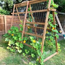 Learn how to build a fence with this collection of 30 diy cheap fence ideas. The Top 63 Garden Trellis Ideas Laptrinhx News