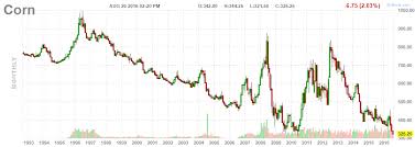 long term corn chart what if this secular double bottom