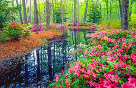 Most Incredible Destinations to See Spring Flowers | The Active Times