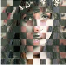 Taryn Connor (tarynconnor)