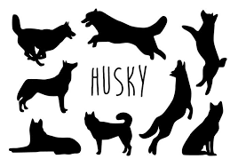 Download Pin On Free Images Printables