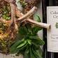 Cooking with Cakebread 2026: Live Fire Grilling