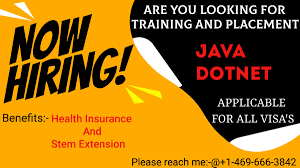 Image result for tbn:ANd9GcT9GTDvoeZslbTfRgc9SbtLfmHl15TvbB2vJ134_7_XnofUBeY3skxFMC8:https://www.doglife.sitew.com/fs/Root/5vdf8-5615663_chien_malade_sur_le_c_t_et_sur_fond_blanc.jpg