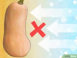 Butternut squash needs full sun, ideally 6 hours per day. 3 Ways To Grow Butternut Squash Wikihow