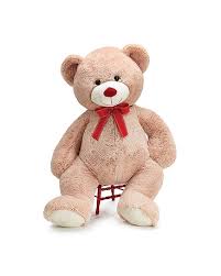 Valentines day gift bear shawty. Jumbo Teddy Bear For Valentine S Day In Tyngsboro Ma Blossoms