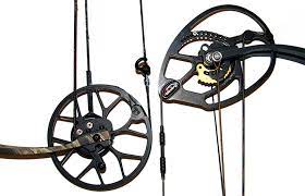 What Bow Cam Is The Perfect Choice