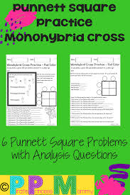 Punnett, who devised the approach in 1905. Students Will Have Fun Figuring Out These 6 Different Monohybrid Punnett Square Crosses As Th Genetics Activities Life Science High School Life Science Lessons