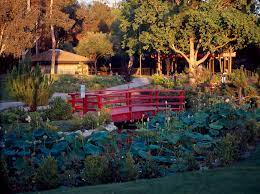 Doris Japanese Garden Kenneth Hahn State Recreation Area Flickr