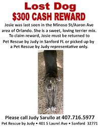 71 sitters near orlando, fl average rate: Welcome To Pet Rescue By Judy