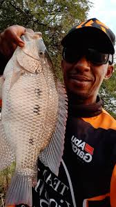 What did you catch while out with your girls?