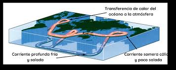 Convección: El motor de la Tierra Se definirán los conceptos de convección,  convección del manto, placas tectónicas y lími