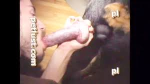 Petlust - Hard On Tyson - Bestialitysextaboo - Animal Bestiality
