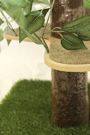 With just few bucks, you can make a perfect the weather proof barricades are very helpful in outdoor cat trees as they provide protection against harsh weather. Amazon Com On2 Pets Cat Tree With Leaves Made In Usa Large Square Cat Condo Cat Activity Tree In Evergreen Pet Supplies