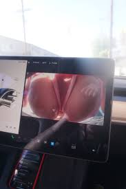 Highlights by Cindy Zheng (@cindyzzheng)  X