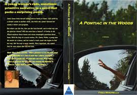 This slang page is designed to explain what the meaning of out of the woods is. Fred Misurella A Pontiac In The Woods