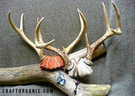 Diy Antler Mount Alternative Antler Mount Diy Antler Diy Antler Mount